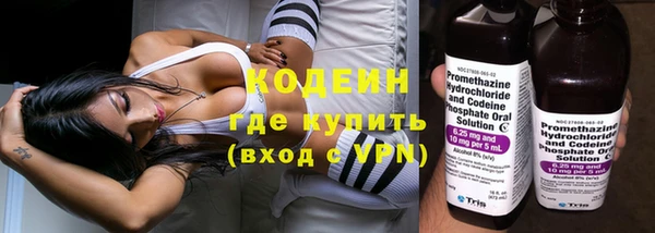 амф Ладушкин