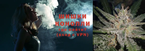 амф Ладушкин