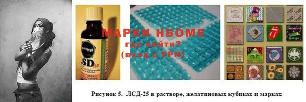 амф Ладушкин