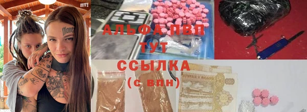 гашик Лагань