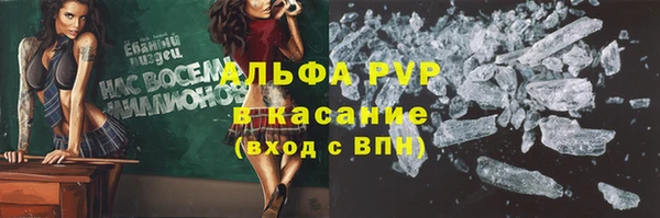 амф Ладушкин