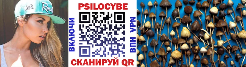 Псилоцибиновые грибы Psilocybine cubensis  ссылка на мегу ссылки  Лодейное Поле  наркошоп 